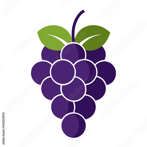 vector illustration of grapes