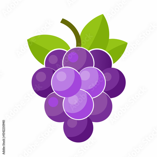 vector illustration of grapes