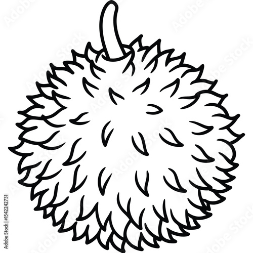 Isolated durian fruit line drawing on white background