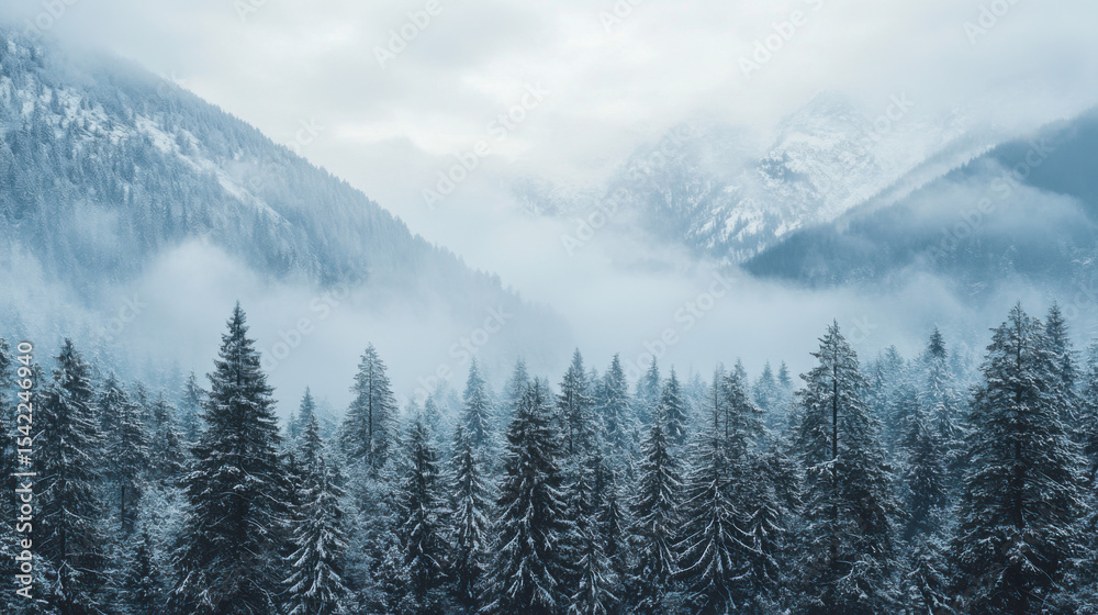 Obraz premium A snowy mountain range is shrouded in fog above a dense evergreen forest