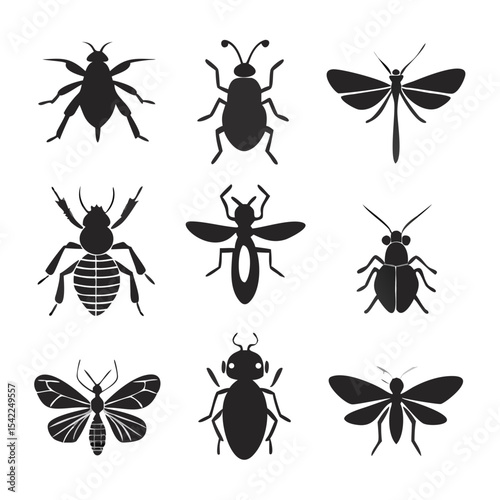 insects vector set