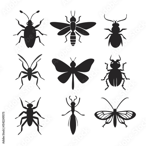 insects vector set