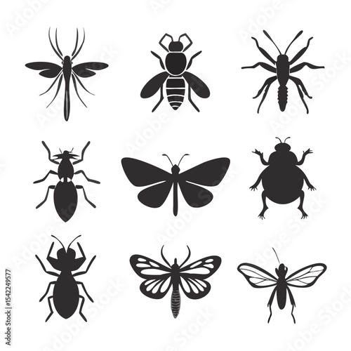 insects vector set