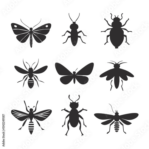 insects vector set