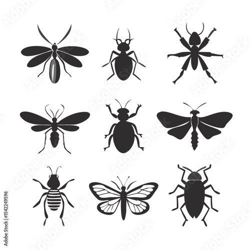 insects vector set
