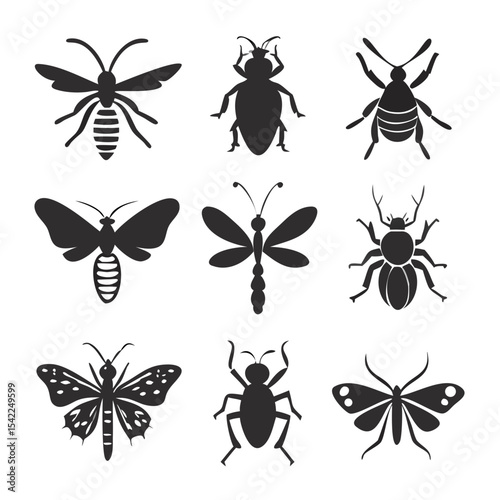 insects vector set