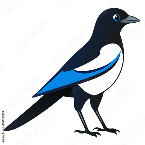 bird vector illustration