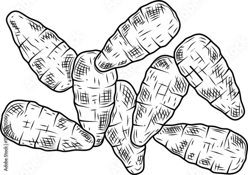 Baby carrot group hand drawn ink sketch vector