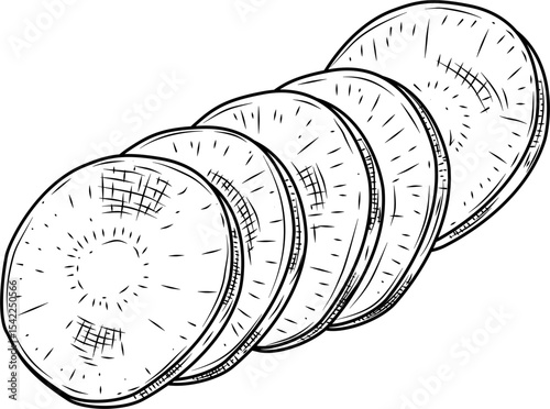 Sliced carrot round hand drawn ink sketch vector