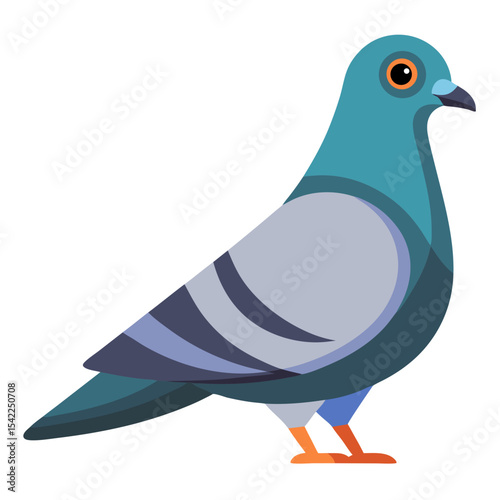 bird vector illustration