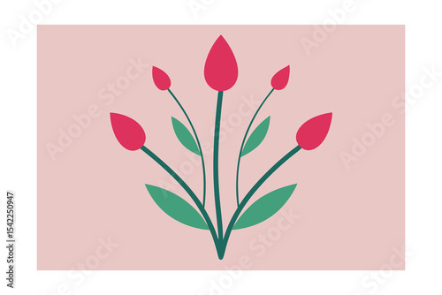pink tulips on white