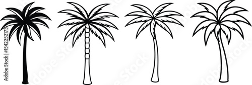 palm tree silhouette