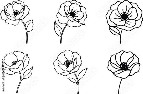 set of flowers