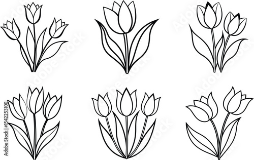 black and white flower