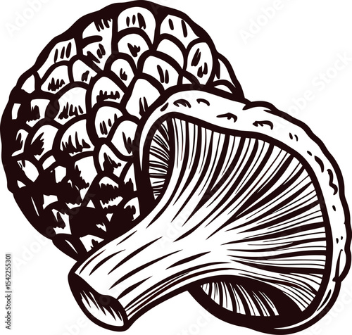 Hand drawn vintage mushroom illustration with detailed cap and gills in engraved