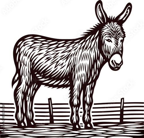Hand drawn donkey standing by wooden fence on ground detailed vintage engraving illustration