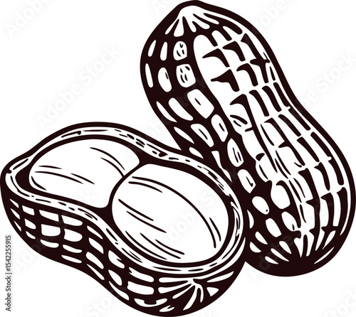 of open peanut shell with seeds in black and white