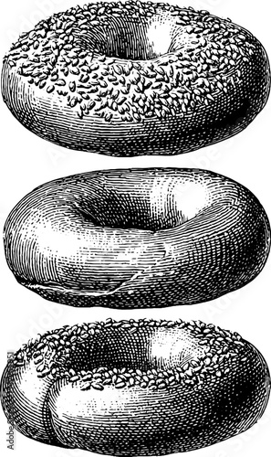 Vintage style bagel engravings with seeds for bakery design and aesthetic appeal