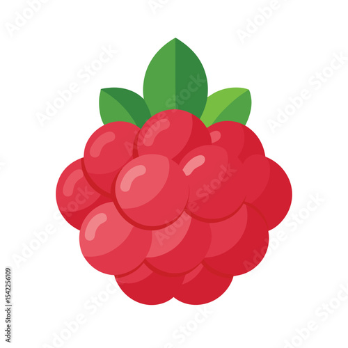 Raspberries Cluster Illustration Isolated on White Background 
