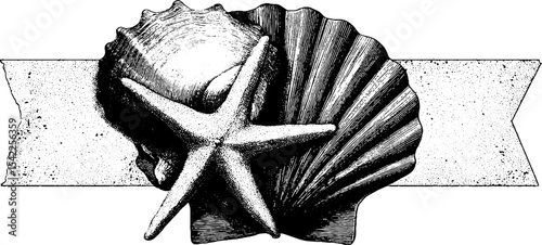 Vintage beach shell and starfish engraving for nautical decor design