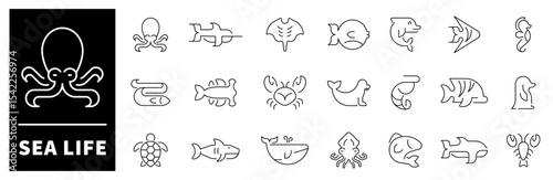 Sea life icon set. Thin line icons set related to sea life and sea fish. Sea life web icons collection in line style.