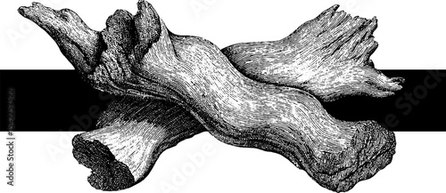 Vintage engraving of burned wood texture for rustic design and decoration