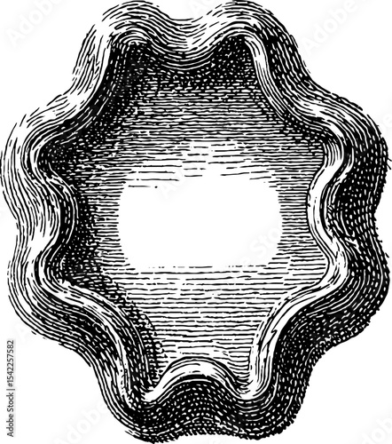 Elegant calligraphic swirl frame in vintage engraving style for decorative design