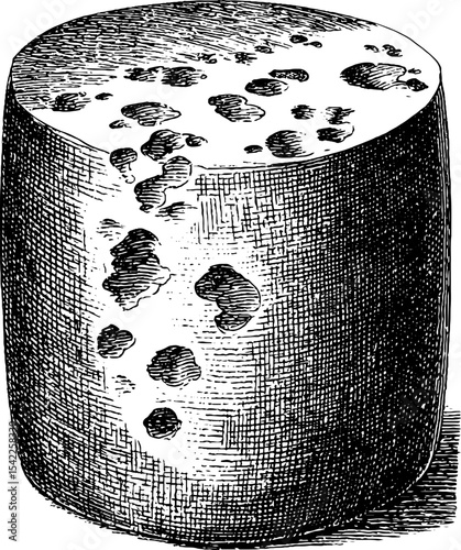 Vintage engraving of cheese block with holes for culinary or print design