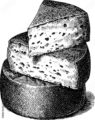 Vintage cheese board in engraving style art for culinary design