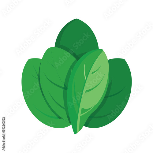 Vibrant Green Leaves Nature's Freshness and Natural Beauty