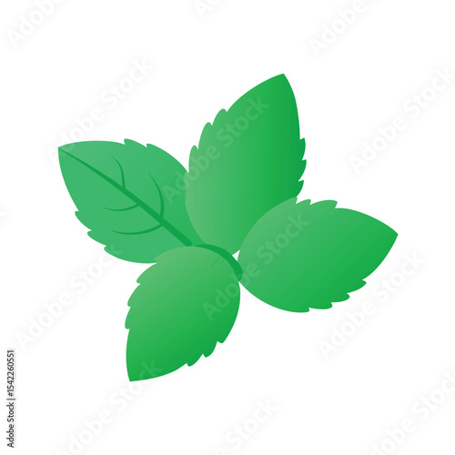 Refreshing Mint Leaves  A Vibrant Illustration of Nature's Coolness