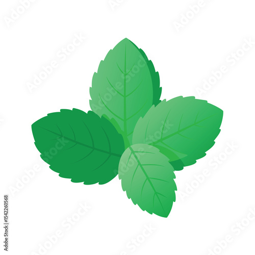 Refreshing Mint Leaves A Vibrant Illustration of Nature's Freshness