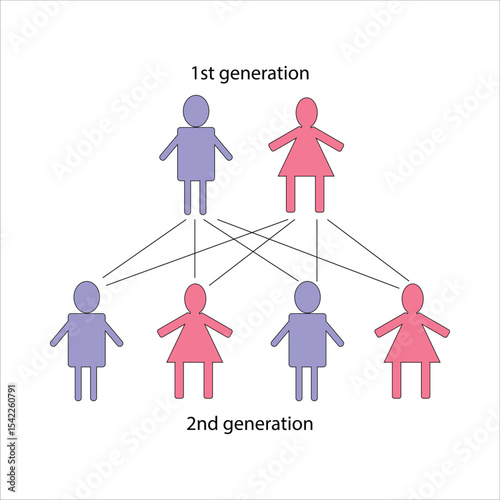 Simplified Family Tree Diagram Illustrating Generations and Kinship