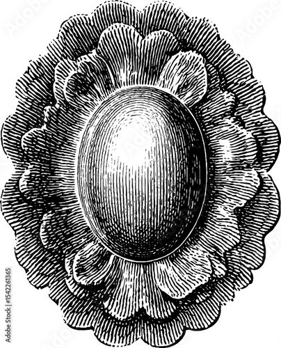 Intricate vintage filigree oval medallion in classic engraving style