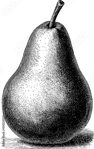 Vintage filigree teardrop design in traditional engraving style for art and decor