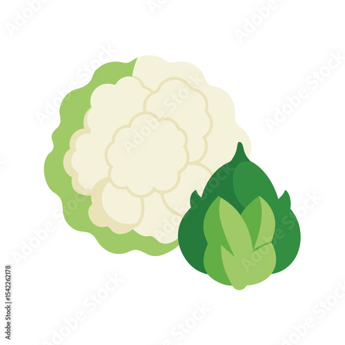 Fresh Cauliflower Vegetable Healthy Eating and Cooking