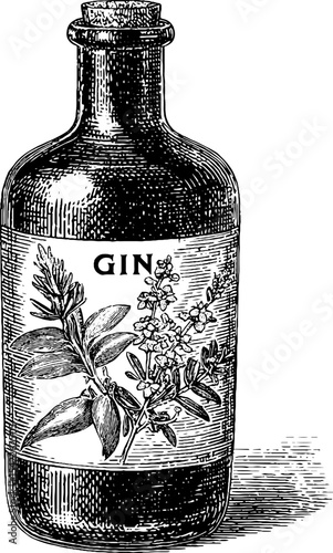 Vintage engraving style gin bottle with herbal design illustration