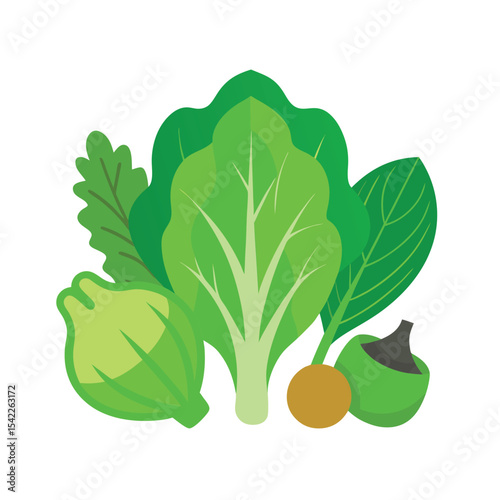 Vibrant Green Leafy Vegetables A Collection of Fresh Spinach, Kale, and Chard Illustrations