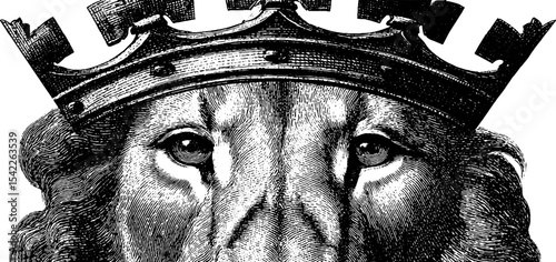Heraldic lion with crown in vintage engraving style for classic design elements