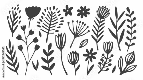 Collection of various hand drawn floral elements including flowers leaves and branches in black and white