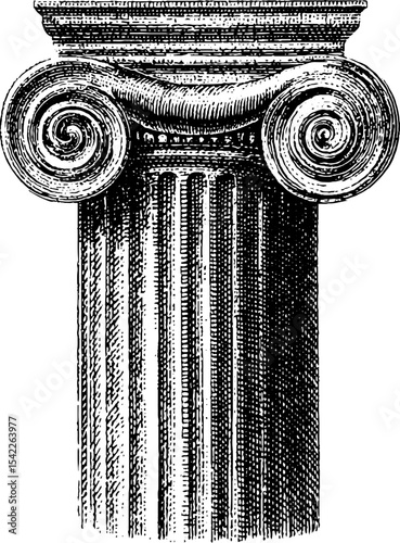 Classical ionic column capital with volute in vintage engraving style for architectural design
