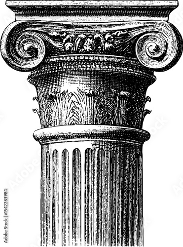 Vintage ionic capital with volute in engraving style for classical architecture design