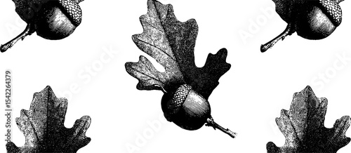Vintage leaf and acorn pattern in classic engraving style for fall design