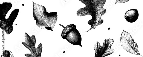Vintage leaf and acorn pattern design with engraving style for nature-inspired decor
