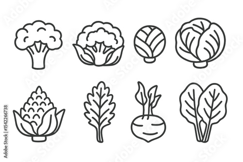 Cruciferous Vegetables Icons. Line style icons of cruciferous vegetables: broccoli, cauliflower, Brussels sprout, cabbage.