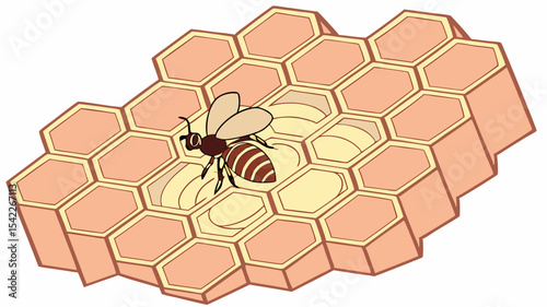 Illustration of a bee with brown stripes on its abdomen standing on a peach colored honeycomb structure