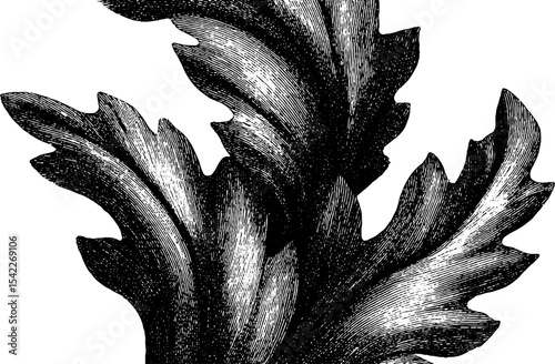 Vintage engraving style leaf design with sandpaper texture for artistic projects