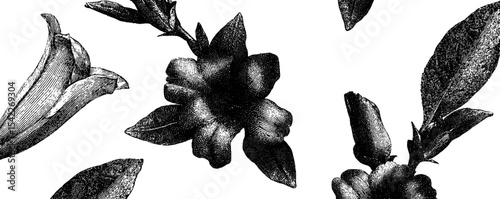 Seamless vintage floral engraving pattern for timeless design and decor