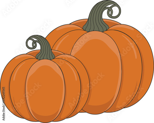 Two Orange Pumpkins with Green Stems Autumn Harvest Illustration