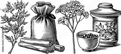 Ancient egyptian coriander and ottoman herb set for historical and culinary inspiration